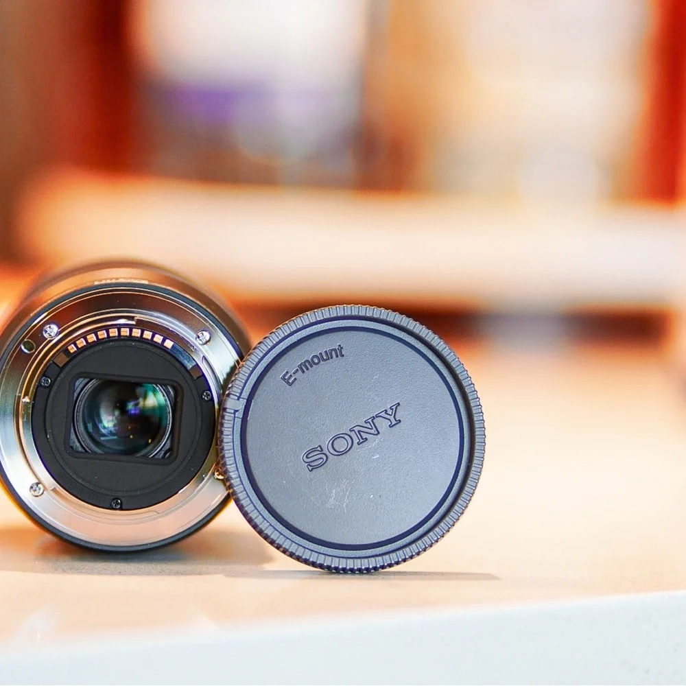 Sony E 18-135mm F3.5-5.6 OSS w/lens hood.